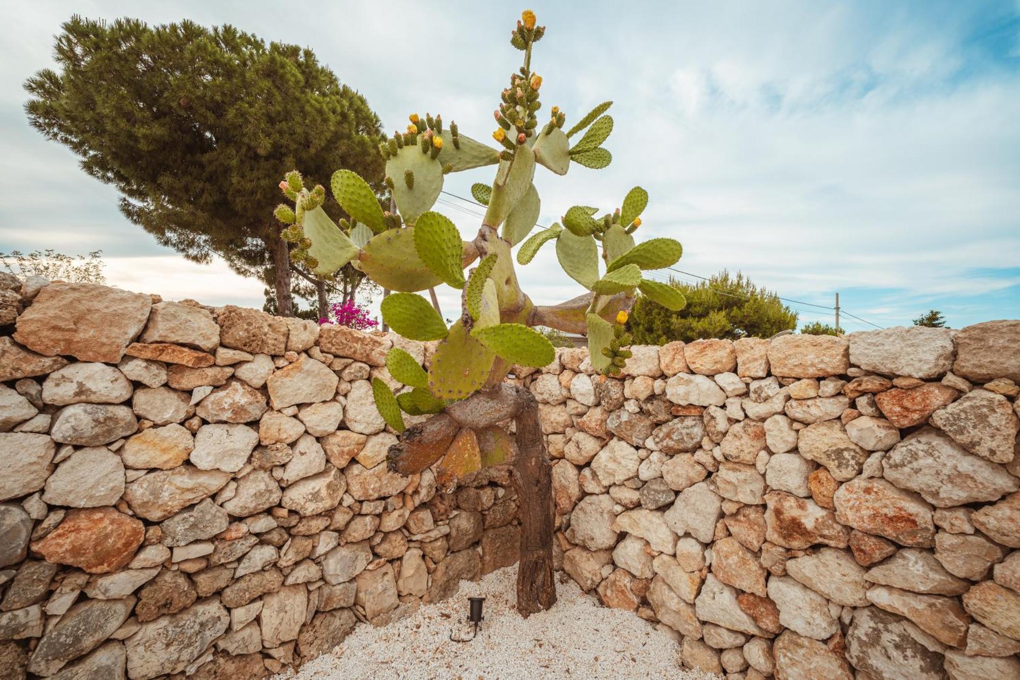 Trullomare & Pool - Housea Vila Polignano a Mare Exterior foto